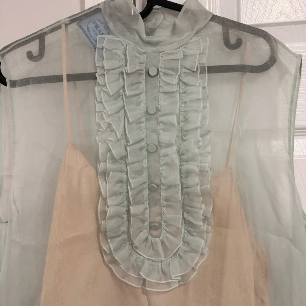 PRADA NWT  MASTER COLLECTOR Prada Silk Organza Dress - Gigi Hadid runway - Picture 4 of 8